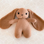 Bunny Rabbit