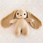 Bunny Rabbit