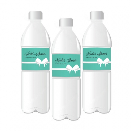 Cactus Party Water Bottle Labels Agua 24 Stickers