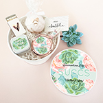 Quarantine Succs Gift Box