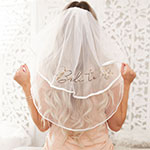 Bride to Be Veil